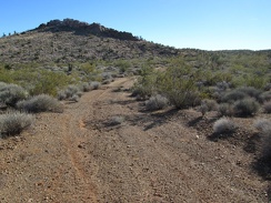 A little further up Rattlesnake Mine Road, I decide to go for a short walk up to the top of the rooster-comb ahead