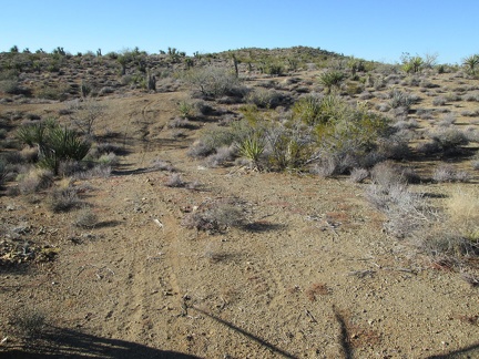 The road almost becomes invisible in a few spots on the way up the hill