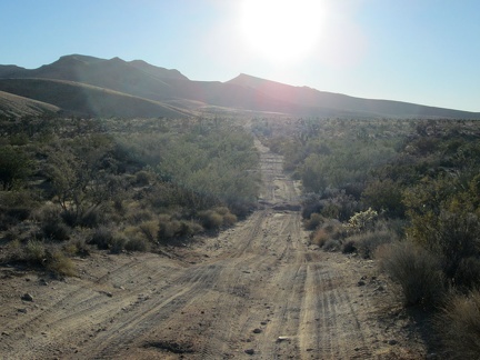 The first part of the road into the Hackberry Mountains is a bit sandy and bit rough