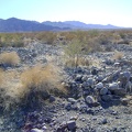 The dense scattering of rocks on the fan east of Kelso induces what I call, "avoidance hiking"