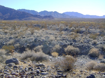 Numerous gulleys need to be crossed while hiking the fan betweeen Cornfield Spring Road and Rex Mine Road