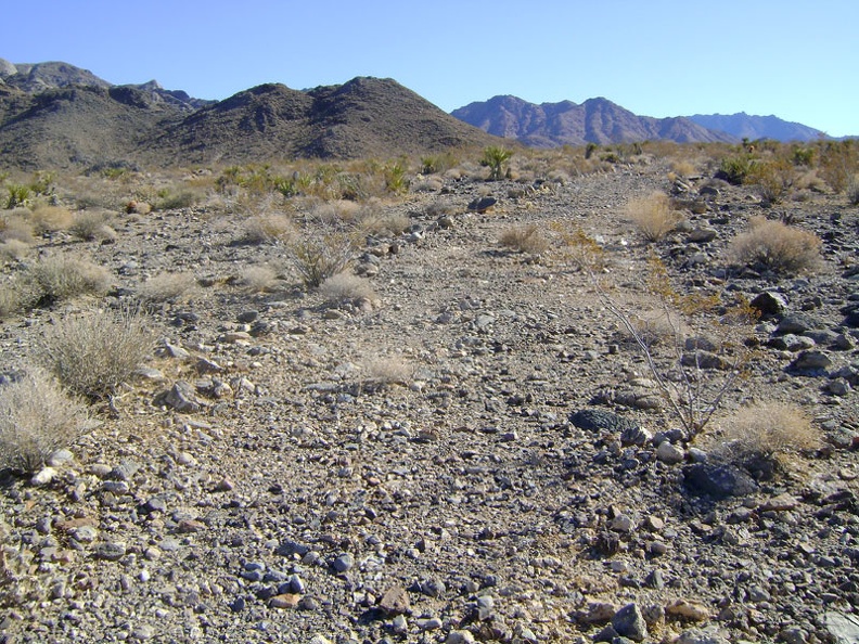 I decide to walk up the trace of an old road beyond Rex Mine and try climbing that first hill ahead