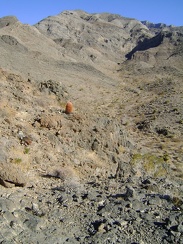 Nice view from this hill into a little canyon; I think I'll climb back down and hike up that way