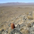 Great view to the north from here also, overlooking the Rex Mine area, that little hill in the middleground