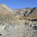 A barrel-cactus garden at the mouth of &quot;West Edgar Canyon #3,&quot; Providence Mountains