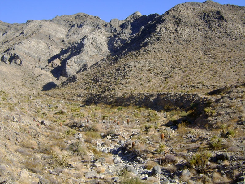 As I enter West Edgar Canyon #3, I think I see a very faint trace of a road along the bottom of the hill at my right