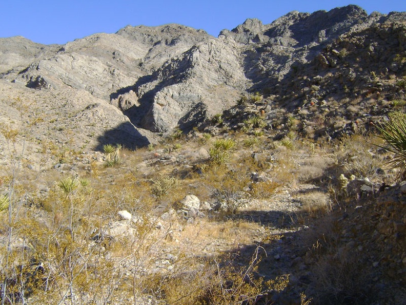 There is a faint old road cut here after all, but it's so grown-in that it doesn't always make for a good hiking trail