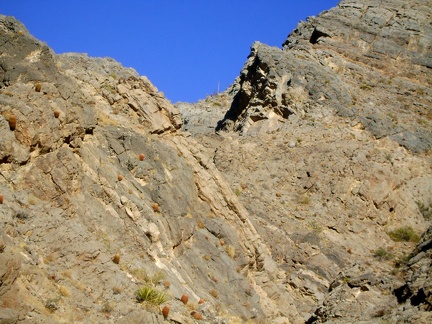 For a moment, I think I've noticed a post way up on top of the canyon walls, but conclude that it's probably an agave plant