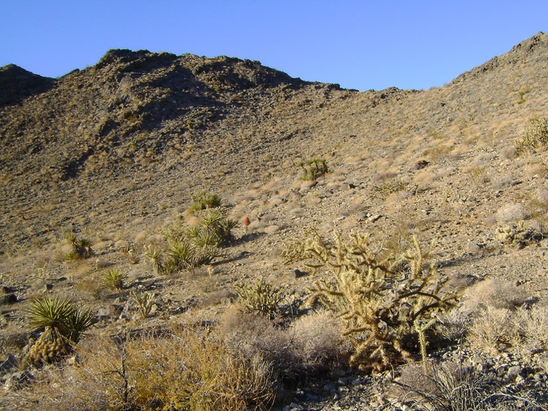 I'm doing well for time, so I'm going to climb over this hill and connect to an old dead-end road from Rex Mine