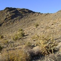 I'm doing well for time, so I'm going to climb over this hill and connect to an old dead-end road from Rex Mine