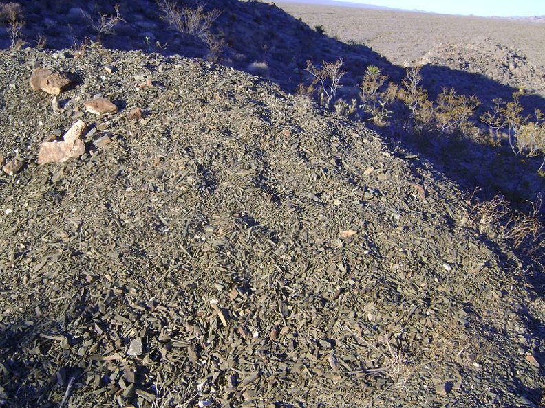 I climb down from the rooster comb and notice a small tailings pile of greenish shale-like strips