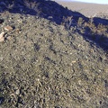 I climb down from the rooster comb and notice a small tailings pile of greenish shale-like strips