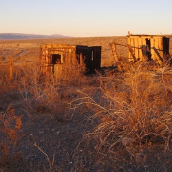 Day 5: Hike to Rex Mine and west edge of the Providence Mountains, Mojave National Preserve