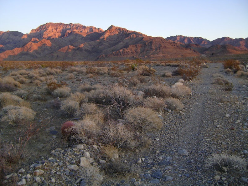 Looking behind me yet again (I can't stop!), there's still a fading pinkish glow on the Providence Mountains