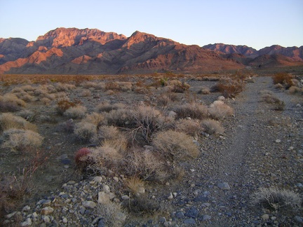 Looking behind me yet again (I can't stop!), there's still a fading pinkish glow on the Providence Mountains