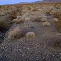 This narrow drainage is easy to cross, even at dusk, but there are a few deeper, wider ones to cross