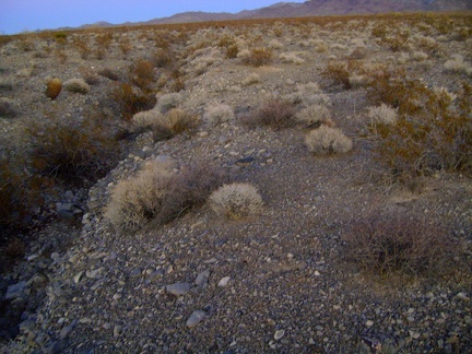 This narrow drainage is easy to cross, even at dusk, but there are a few deeper, wider ones to cross