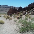 Rings Trail curves and I'm now staring straight ahead at Wild Horse Mesa