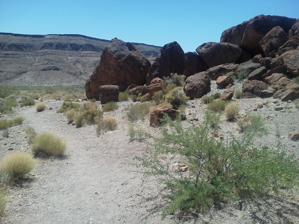 Rings Trail curves and I'm now staring straight ahead at Wild Horse Mesa