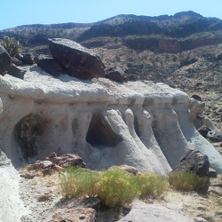 Day 11: Rings Trail and Barber Peak Loop Trail hike, Mojave National Preserve