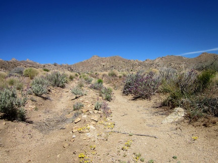 After breakfast and coffee, my task is to walk the 3/4 mile over to Bathtub Spring and filter more drinking water