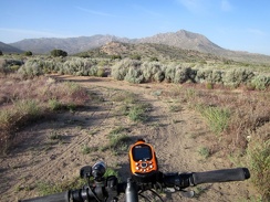 My favourite part of the ride back to camp is passing through Pinto Valley's sagebrush patches
