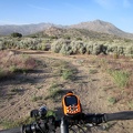 My favourite part of the ride back to camp is passing through Pinto Valley's sagebrush patches