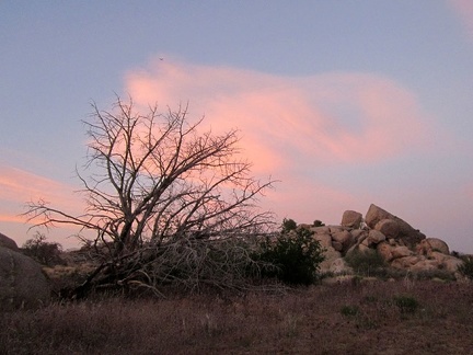 Sundown at Pinto Valley means it's time for my evening meal; I'm really hungry