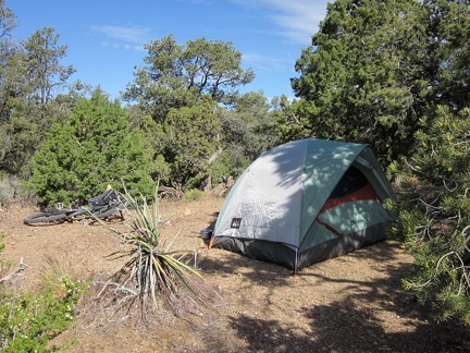 It was chilly again last night, and windy, but the sun is warm on my first morning at Mid Hills campground