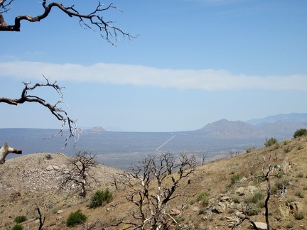 From the Mid Hills campground overlook are open views across to Cima Dome