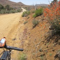 Just before noon, I leave Mid Hills campground and ride down Wild Horse Canyon Road without the weight of my camping baggage