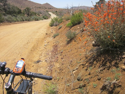 Just before noon, I leave Mid Hills campground and ride down Wild Horse Canyon Road without the weight of my camping baggage