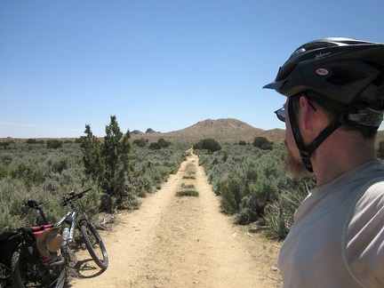 The first part of Gold Valley Road passes through a meadow thick with mature sagebrush