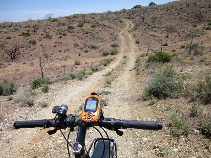 The upper part of Gold Valley Road rolls up and down over gently folding terrain