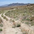 I stop on a low bluff to try my cell phone and it works, so I take a short break and send a few text messages