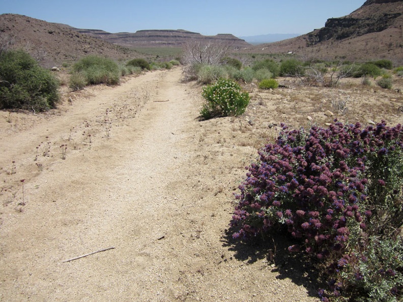 The lower part of Gold Valley Road has more sand; I sometimes lose traction and need to walk the bike occasionally