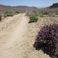 The lower part of Gold Valley Road has more sand; I sometimes lose traction and need to walk the bike occasionally