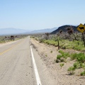 I ride a few hundred feet on pavement on Black Canyon Road before turning off toward Saddle Horse Canyon