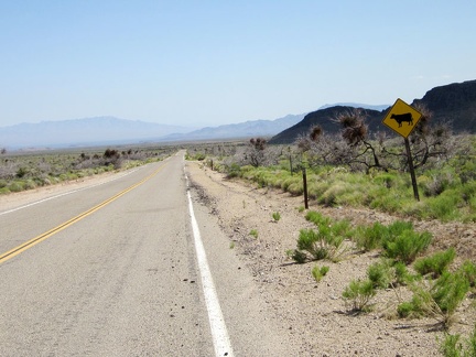 I ride a few hundred feet on pavement on Black Canyon Road before turning off toward Saddle Horse Canyon