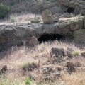 A few small holes in the rocks near the mouth of Saddle Horse Canyon