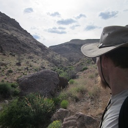 Day 8: Gold Valley bicycle ride and a short hike in Saddle Horse Canyon, Mojave National Preserve