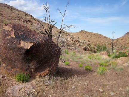 I turn around and start my way back down Saddle Horse Canyon, wondering if I shouldn't be turning around so soon