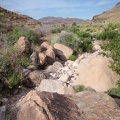 I'm enjoying these parts of Saddle Horse Canyon where I can walk in the dry drainage channel