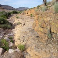 Here's another part of Saddle Horse Canyon that allows me to avoid getting more grass stuck in my socks