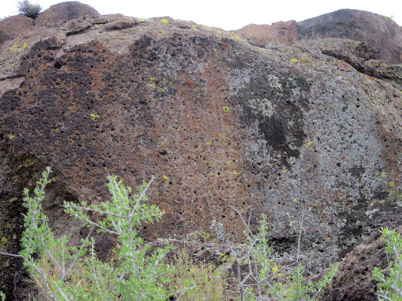 A bush of some kind manages to grow up on top of these rocks at the mouth of Saddle Horse Canyon