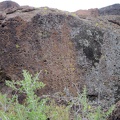 A bush of some kind manages to grow up on top of these rocks at the mouth of Saddle Horse Canyon