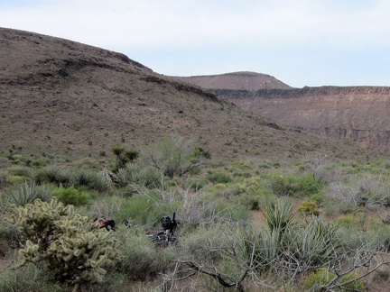 I'm back at the bike, which is hiding in the bushes just off Wild Horse Canyon Road, ready to ride home to Mid Hills campground