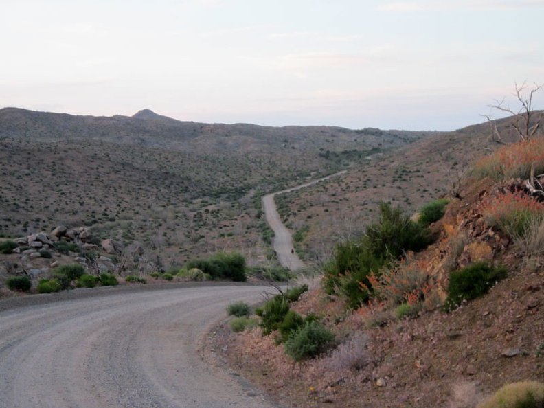 Wild Horse Canyon Road dips down into the upper part of Macedonia Canyon as I ride back to Mid Hills campground