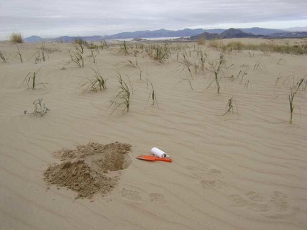 My scenic morning cat hole with Soda Lake in the background