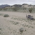A carpet of low, ground-hugging plants casts an almost lush green tint over this area near Sands